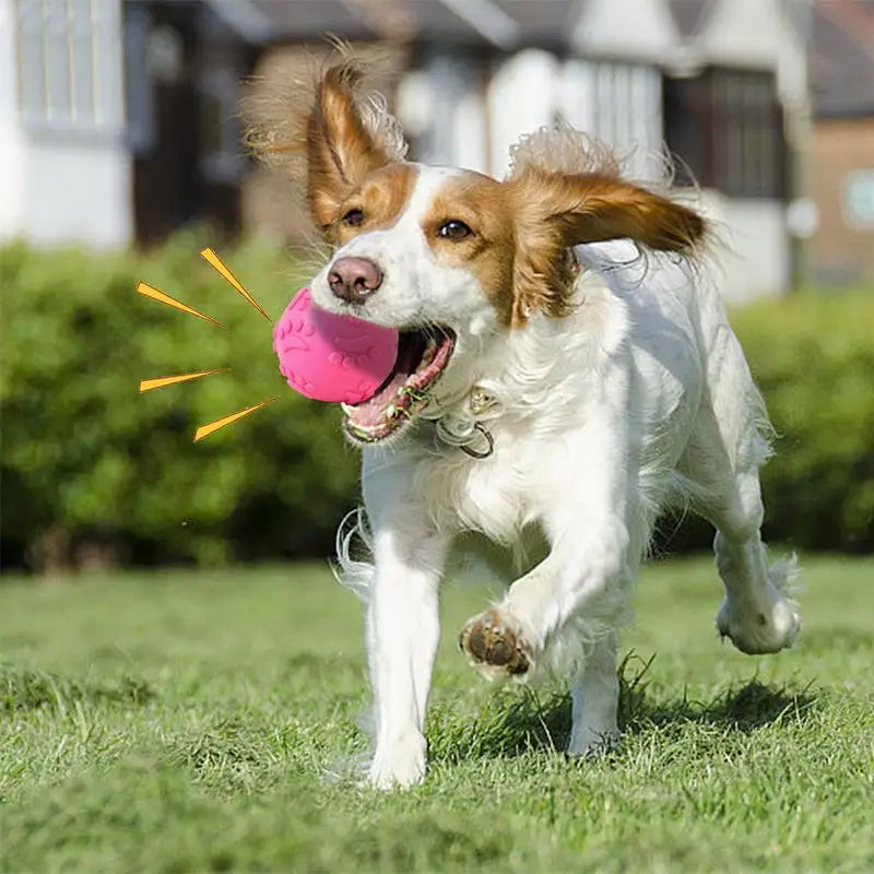 The Pawsome Boutique Dog Toy Ball