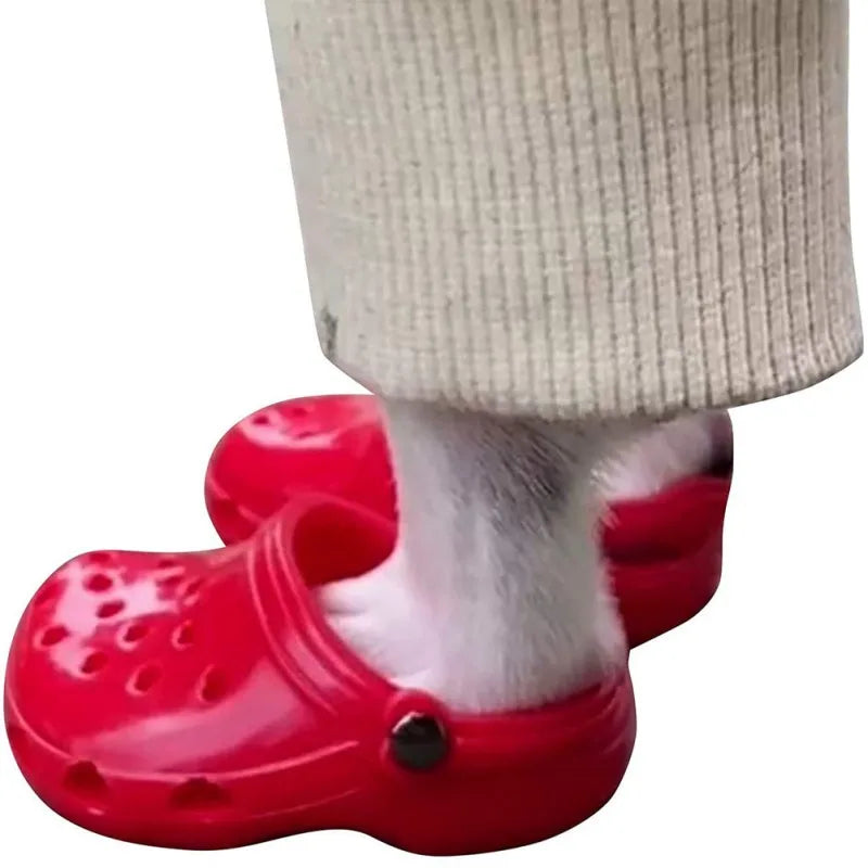 Cute Baby Crocs for Pets