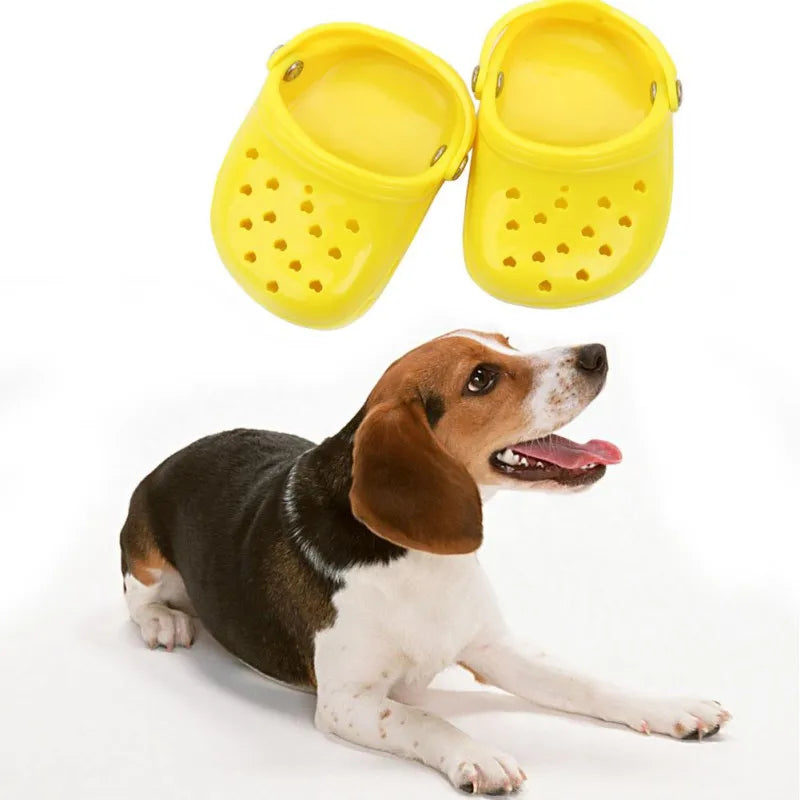 Cute Baby Crocs for Pets