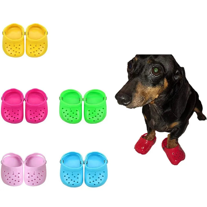 Cute Baby Crocs for Pets