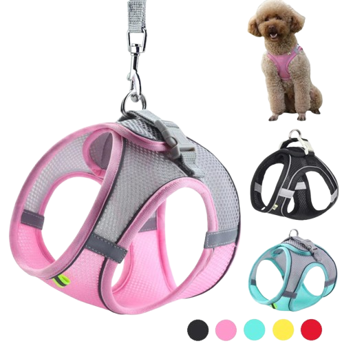 The Pawsome Boutique Harness for Dogs