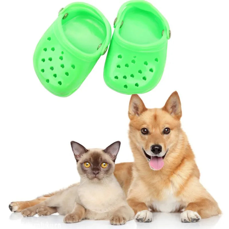 Cute Baby Crocs for Pets